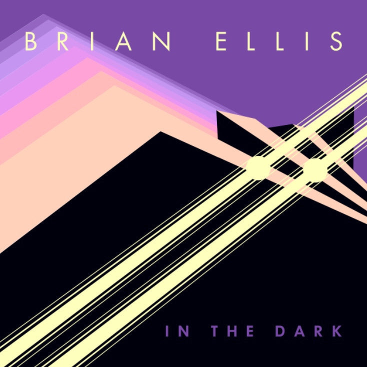 Brian Ellis / IN THE DARK LP