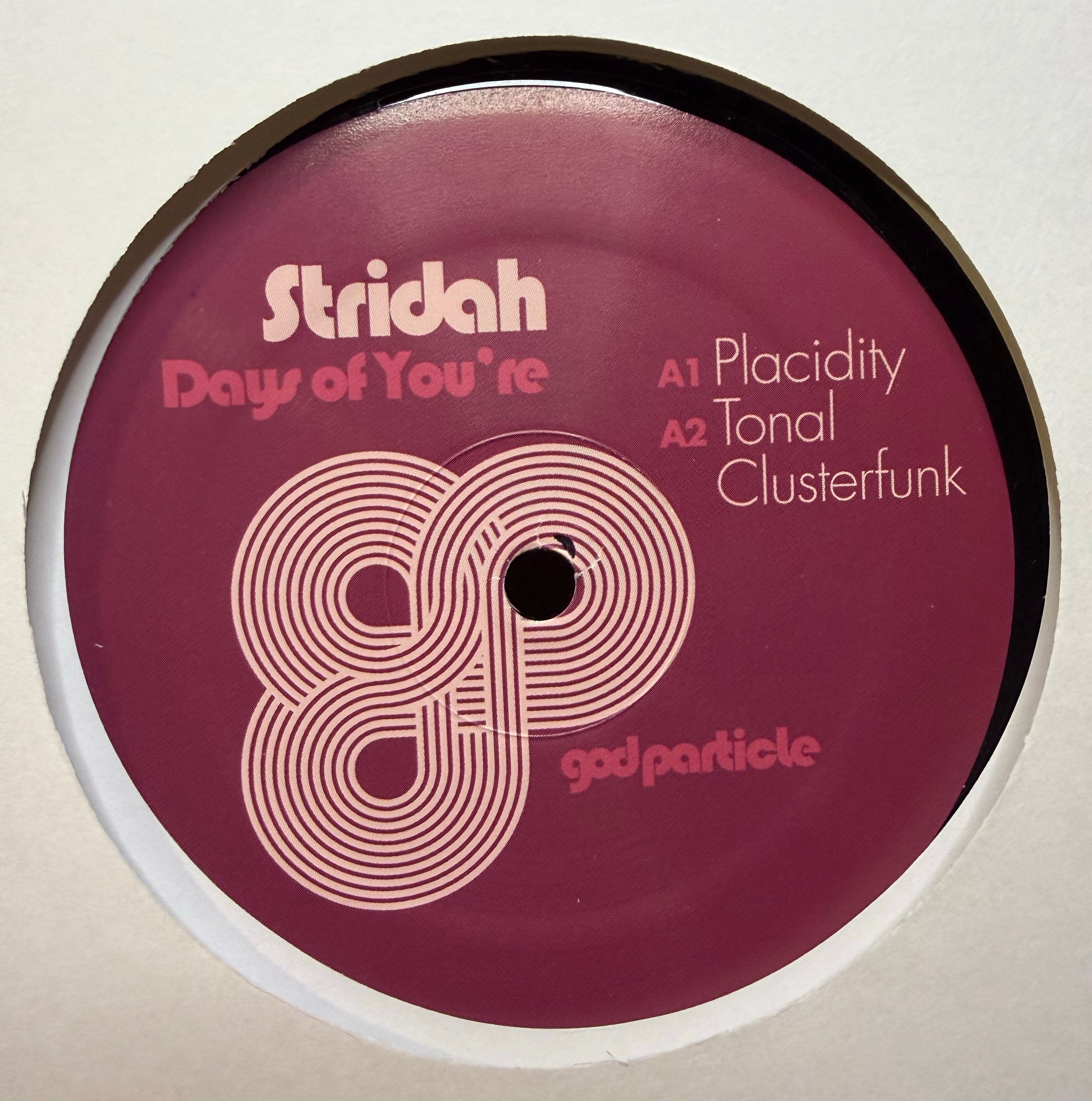 Stridah: Days of You're - God Particle Vinyl 05 12"