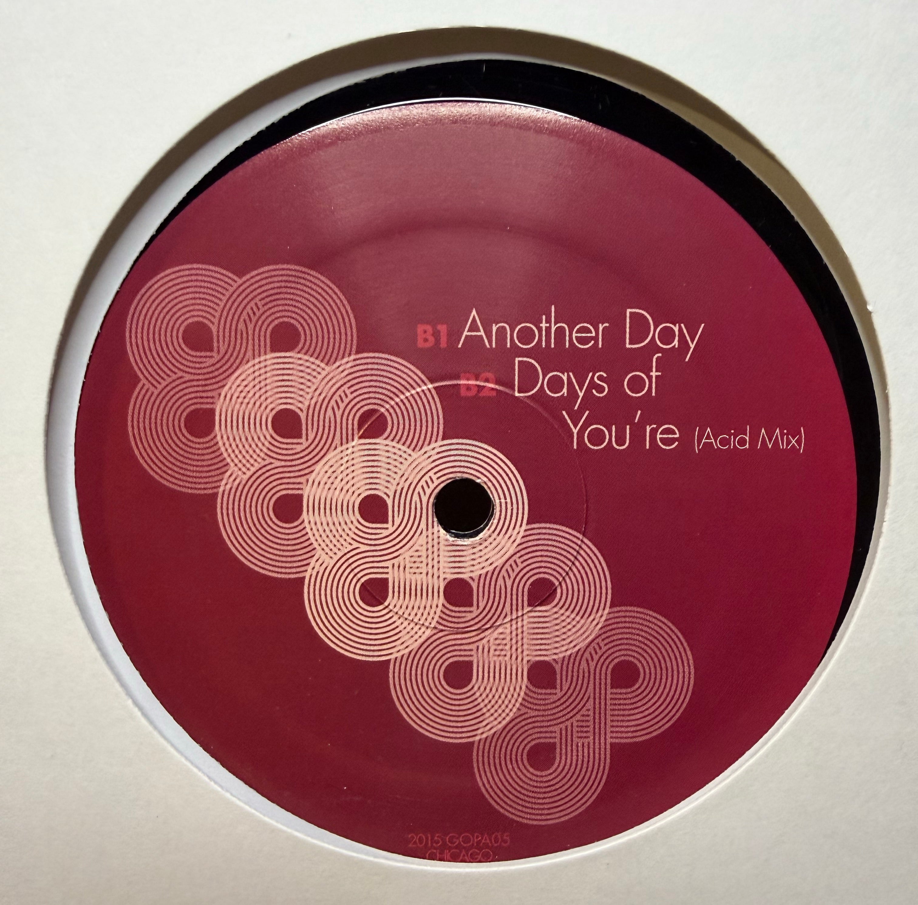 Stridah: Days of You're - God Particle Vinyl 05 12"
